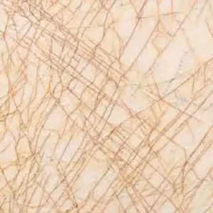 Golden Spider