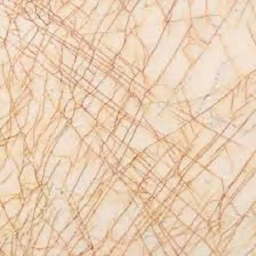 Golden Spider
